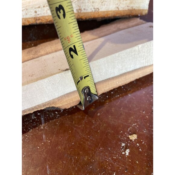 Basswood Rustic Bark Edge Wood Slabs For Crafts & DIY Projects - Picture 8 of 11